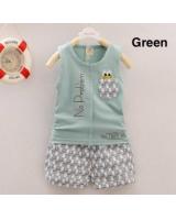 SWK91016 Cute kid Top and Pant Set Green