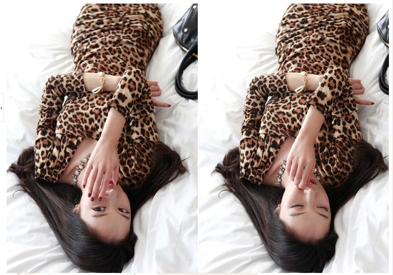 WD5964 Sexy Leopard Dress Brown