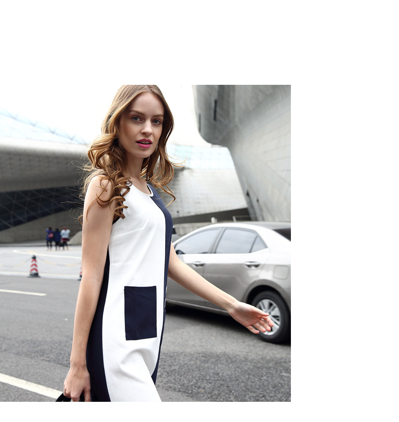 WD7101 Europe Stylish Dress As Picture