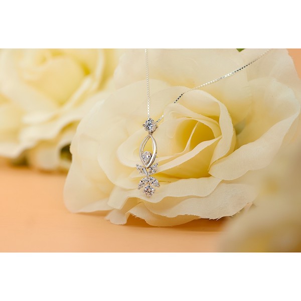 PN-406 Trendy Necklace Silver