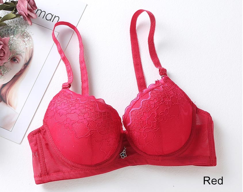 QA-606 LACE PUSH UP BRA RED