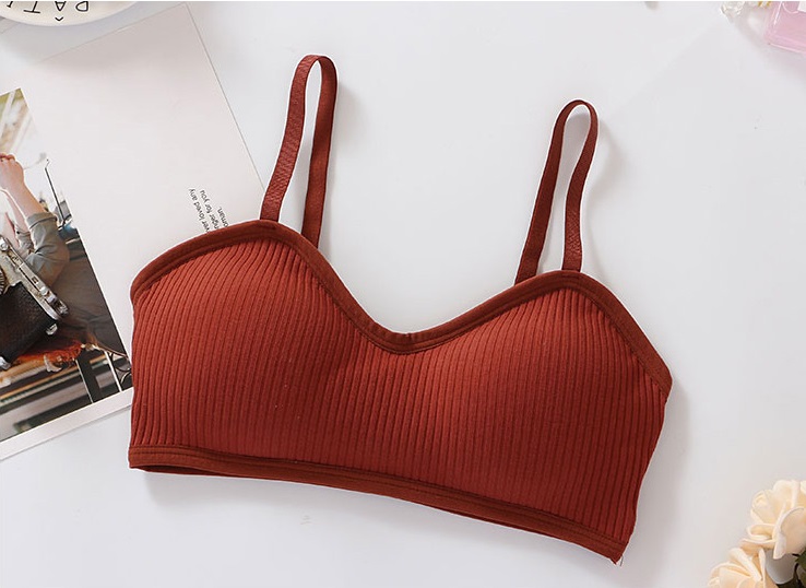 QA-778 KOREAN TUBE PADDED BRA AS PICTURE