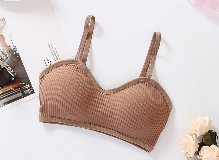 QA-778 KOREAN TUBE PADDED BRA BROWN